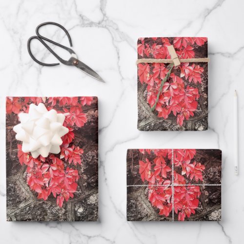 Pink red gray ivy leaves autumn abstract photo wrapping paper sheets