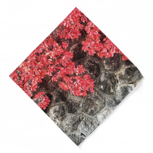 Pink red ivy leaves autumn stone wall bandana