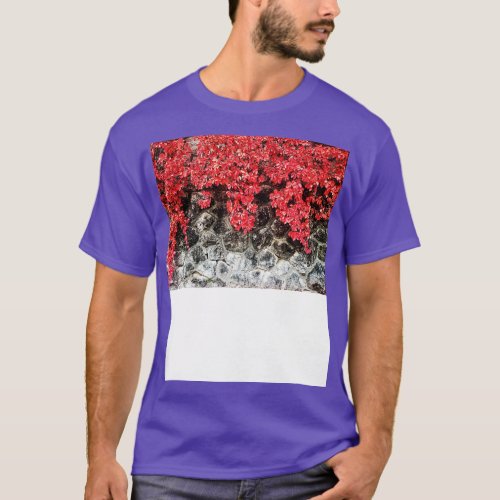 Pink red ivy leaves autumn stone wall nature fall  T_Shirt