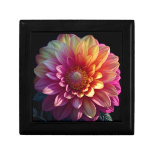 Pink Red Orange Yellow Purple Dahlia Flower Gift Box