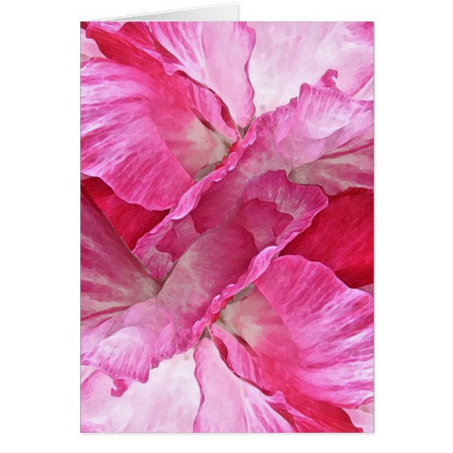 Pink Red Poppy Flowers Floral Blank Card