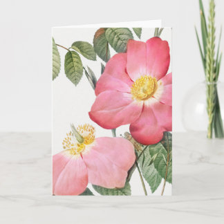 Pink Red Rose Pierre-Joseph Redoute Greeting Card