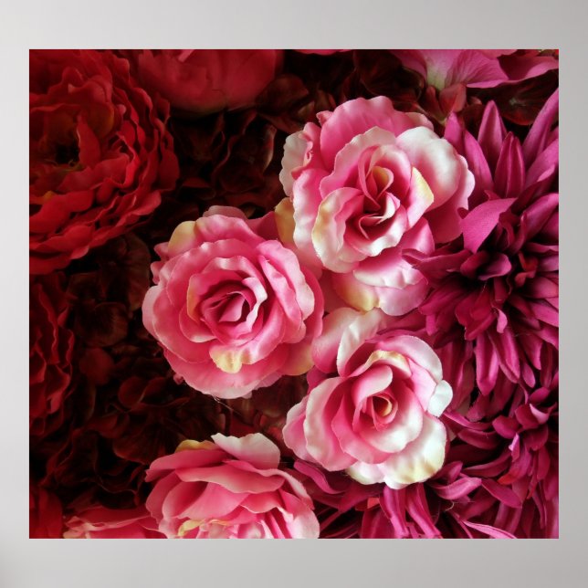 Pink, red roses: fabric background. poster (Front)