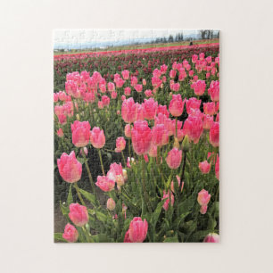 Pink & Red Tulips in a Field, Oregon Jigsaw Puzzle