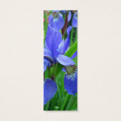 pink rhododendron and blue iris (Back)