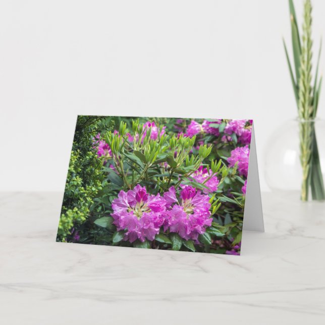 Pink Rhododendron Blank Card (Front)