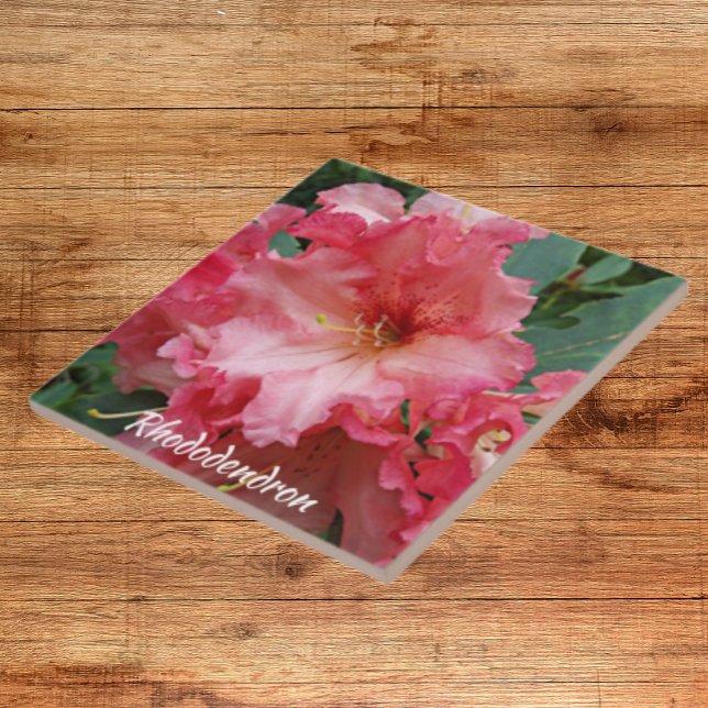Pink Rhododendron Bloom Floral Ceramic Tile (In Situ)