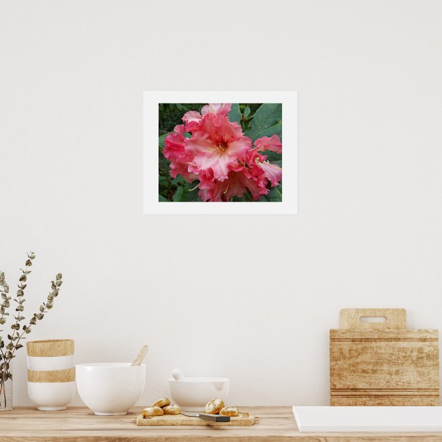 Pink Rhododendron Blooms Floral Poster (Kitchen)