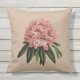 Pink Rhododendron Botanical Outdoor Pillow 20x20