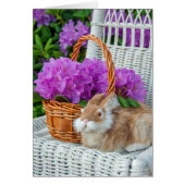 pink rhododendron bouquet and bunny on chair (Front)