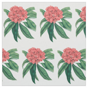 Pink Rhododendron Fabric