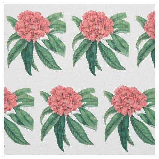 Pink Rhododendron Fabric