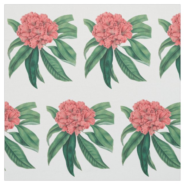 Pink Rhododendron Fabric (Swatch)