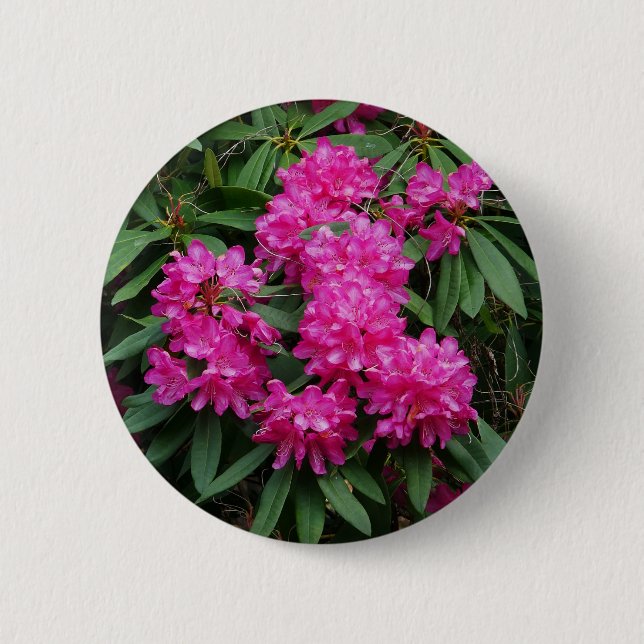 Pink Rhododendron Flowers Badge Button (Front)