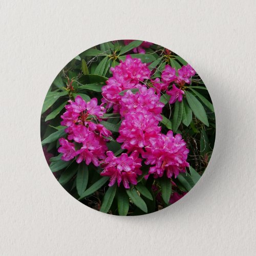 Pink Rhododendron Flowers Badge Button
