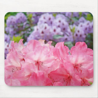 Pink Rhododendron Flowers Garden mousepad
