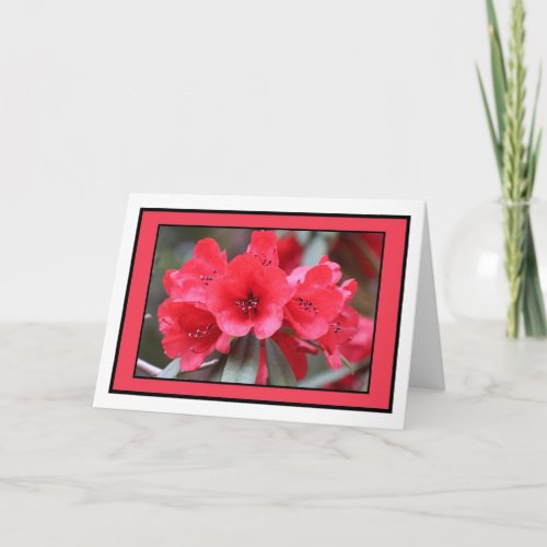 Pink Rhododendron Greetings Card
