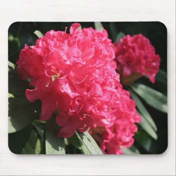 Pink Rhododendron Mouse Pad by PBsecretgarden at Zazzle
