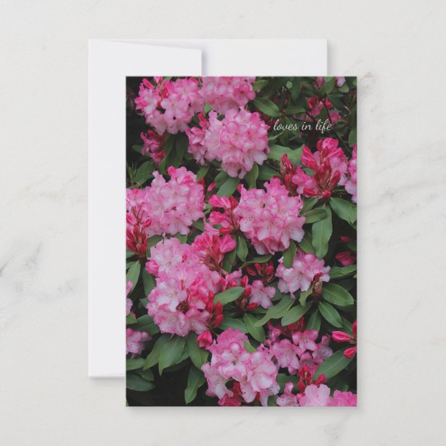 Pink Rhododendron Note Card (Front)