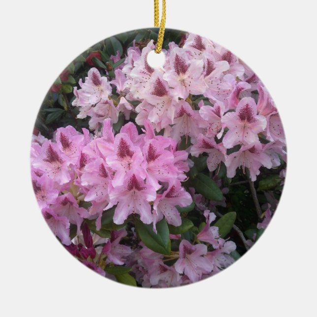 Pink Rhododendron Ornament (Front)