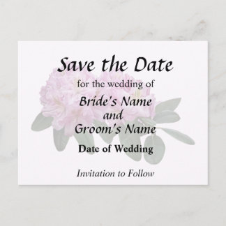 Pink Rhododendrons Announcement Postcard