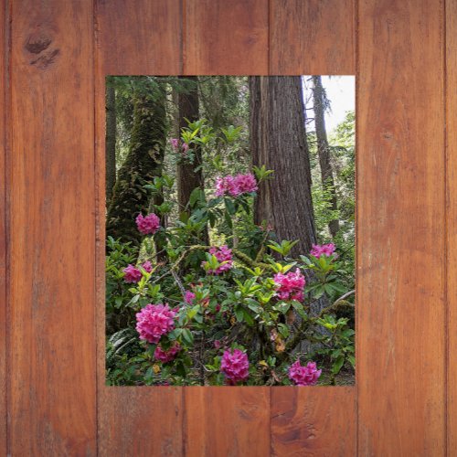 Pink Rhododendrons in a Forest Floral Acrylic Print