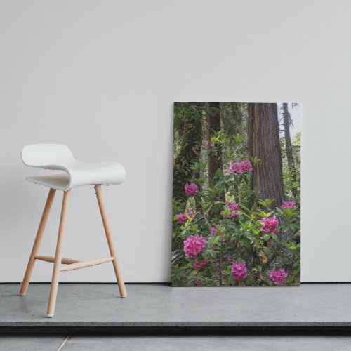 Pink Rhododendrons in a Forest Floral Canvas Print