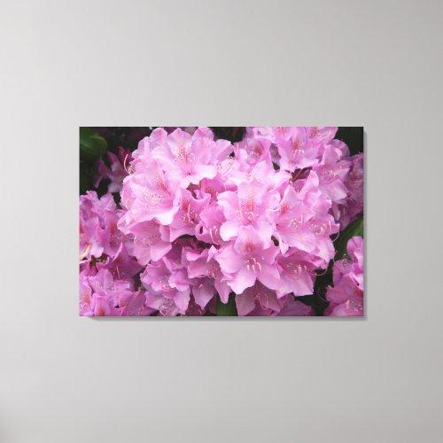 Pink Rhododendrons Wrapped Canvas Print