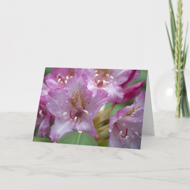 Pink Rhody Card (Front)