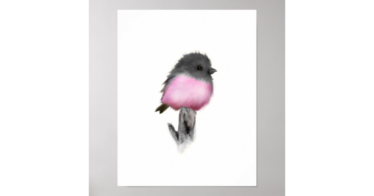 Pink Robin Poster Print | Zazzle