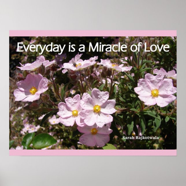 Pink Rock Roses Garden Flowers Love Poster (Front)