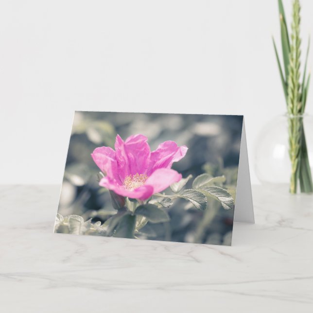 Pink Rosa Flower Note  Card (Front)