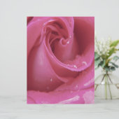 Pink Rose (Standing Front)