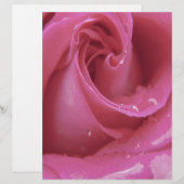 Pink Rose (Front/Back)