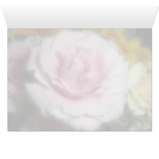 Pink Rose (Inside Horizontal (Bottom))
