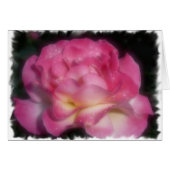 Pink Rose (Front Horizontal)