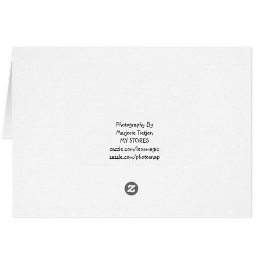 Pink Rose (Back Horizontal)