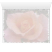 Pink Rose (Inside Horizontal (Bottom))