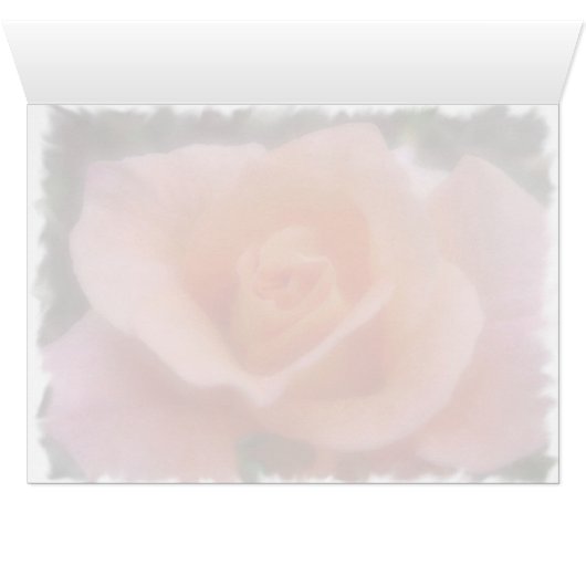 Pink Rose (Inside Horizontal (Bottom))