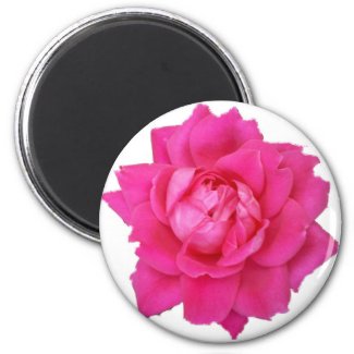 Pink Rose 2 1/4 Round Magnet