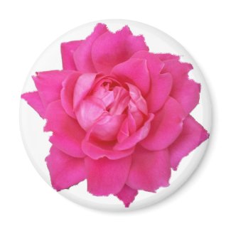 Pink Rose 2 1/4 Round Magnet