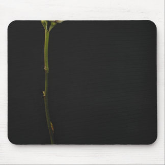 Pink rose 3 mouse pad