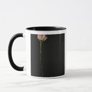 Pink rose 3 mug