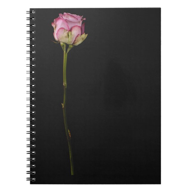 Pink rose 3 notebook (Front)