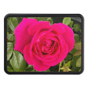 Pink Rose #4 Hitch Cover