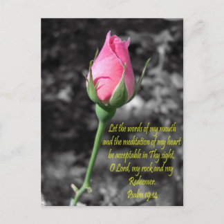 Pink Rose 4 Psalm 19:14 Postcard