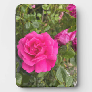 Pink Rose #6 Kindle Cover