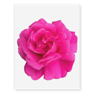 Pink Rose #6 Temporary Tattoos