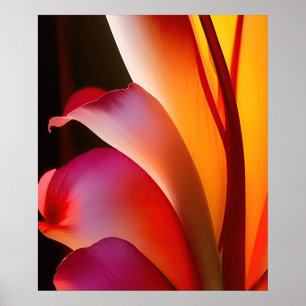 Pink Rose Abstract Floral Poster