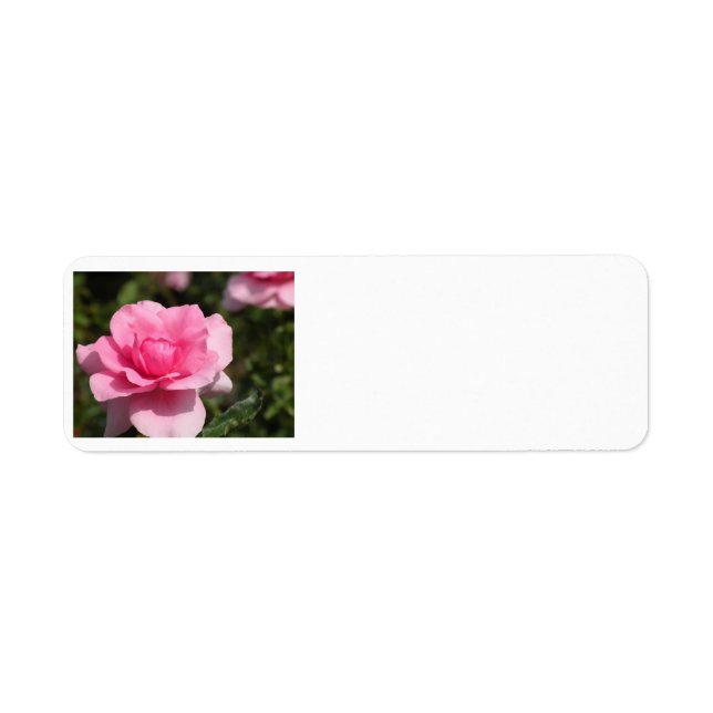 Pink Rose Address Labels (Front)